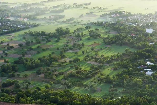 Guide complet pour votre voyage à Madagascar : conseils et astuces