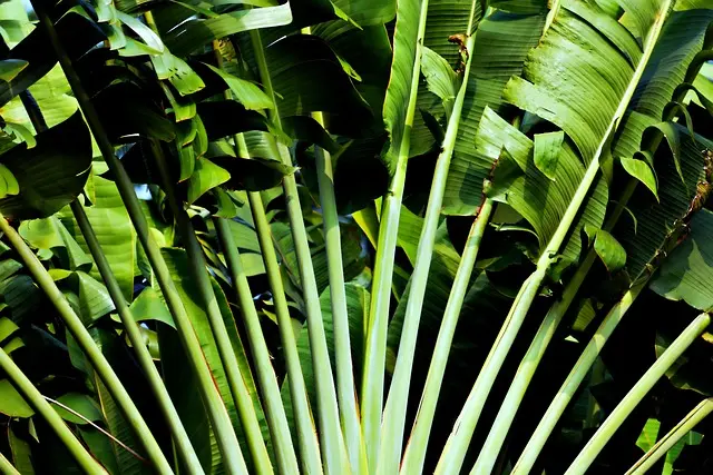 Les meilleures activités à faire aux Seychelles pour un séjour unique