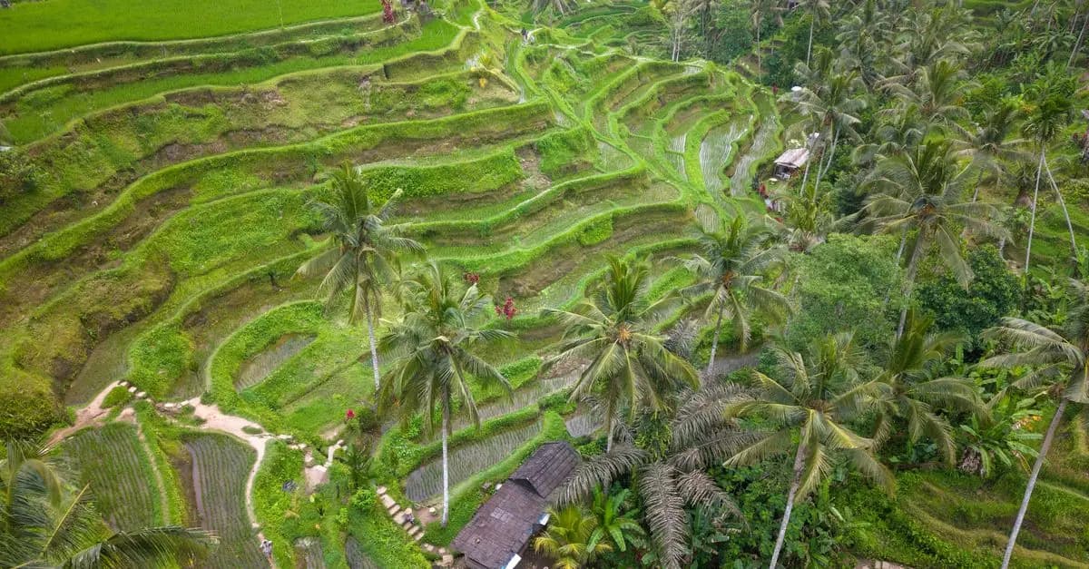 Top 10 des activités incontournables à faire à Bali