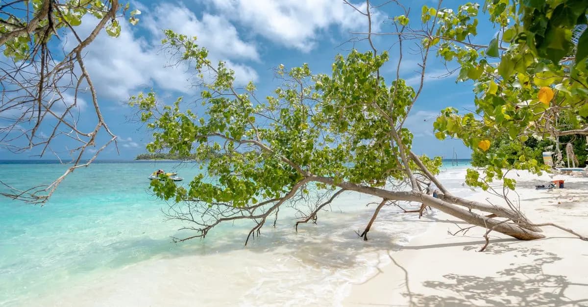 Les meilleures îles à visiter pour des vacances de rêve