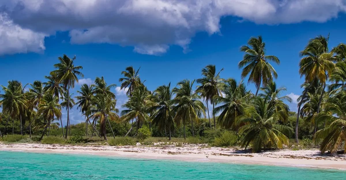 Découvrez les meilleures destinations exotiques à visiter en hiver