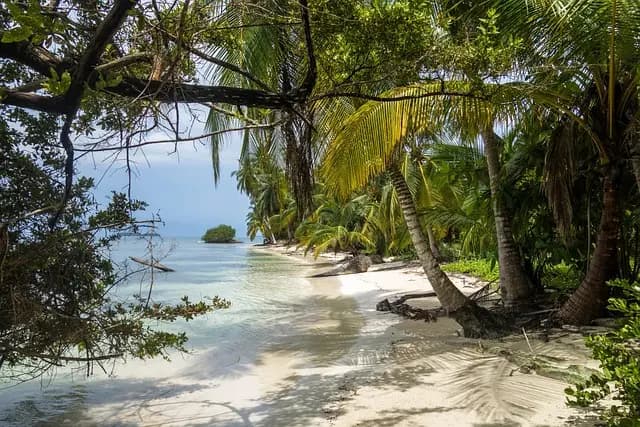 Les plus belles plages secrètes des îles exotiques à découvrir