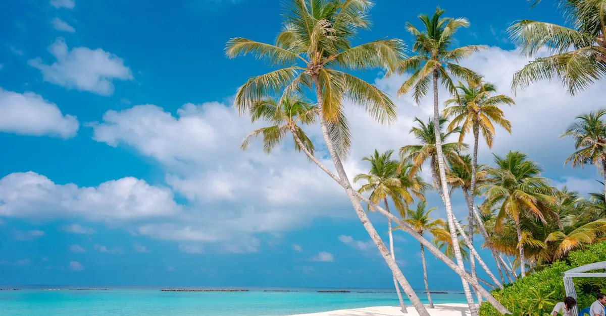 Top 5 des activités incontournables à faire à Zanzibar