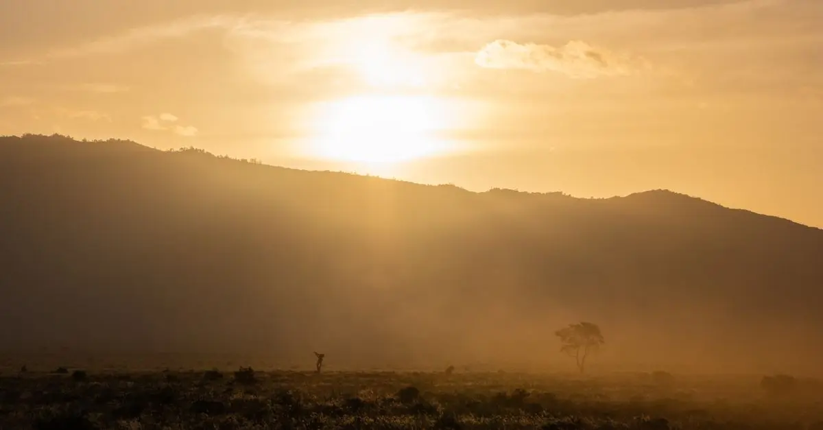 Comment planifier un safari en Afrique du Sud