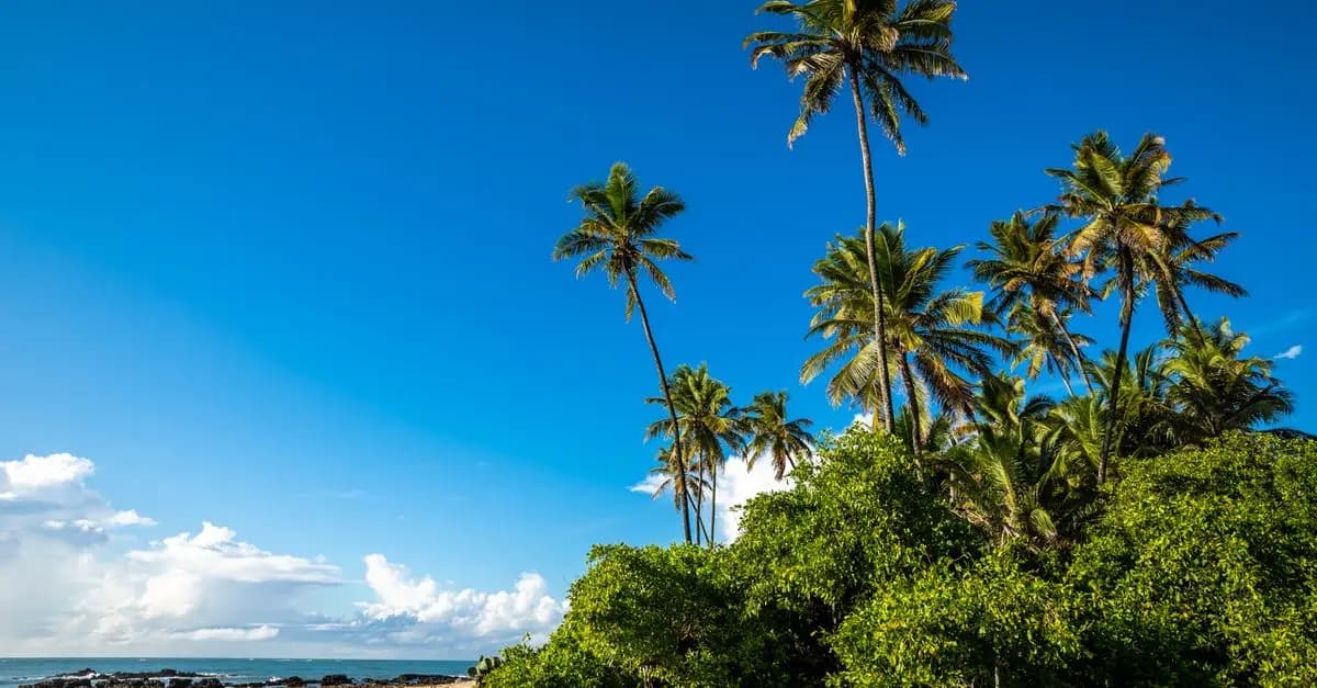 Comment choisir la meilleure destination exotique pour vos vacances