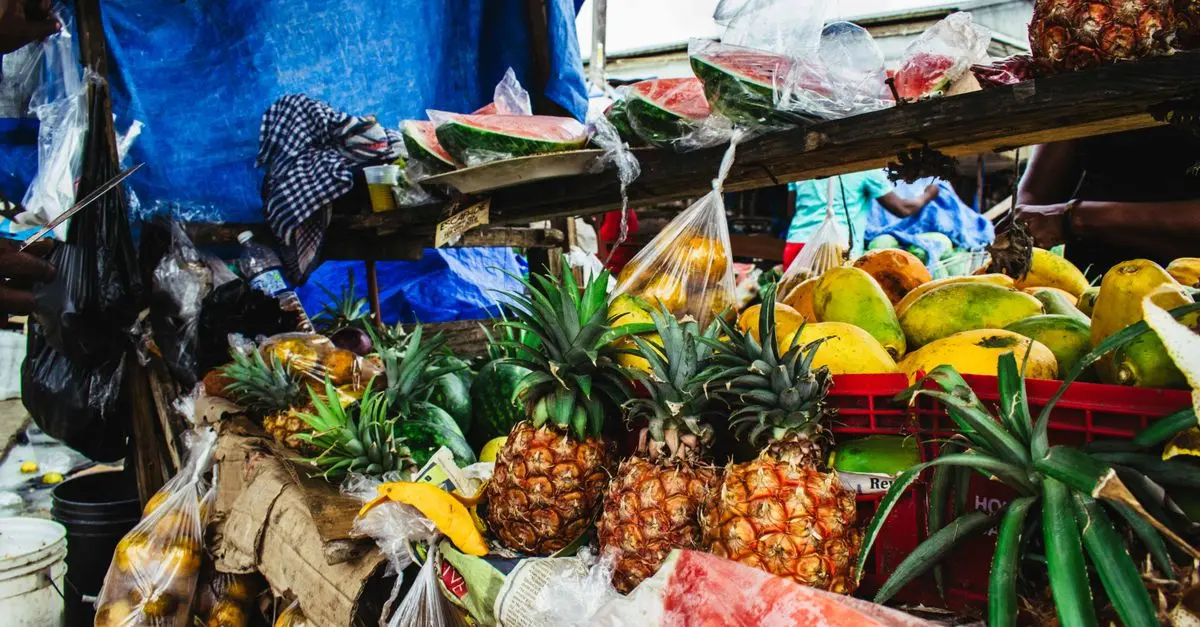 Guide pratique pour voyager à Madagascar comme un local