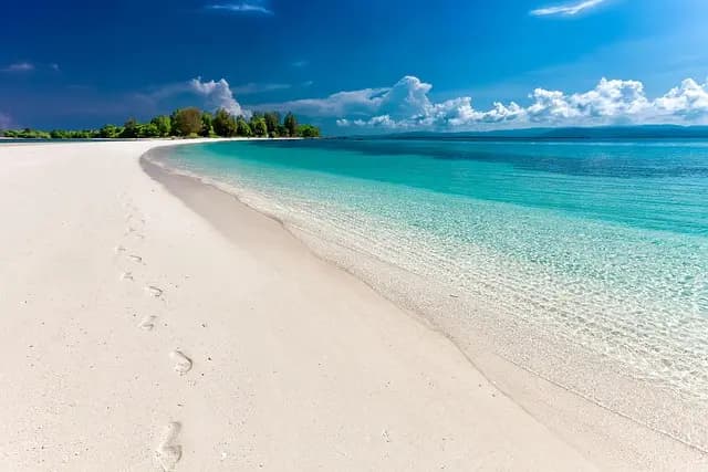 Les Top 10 des Activités à Faire à Madagascar