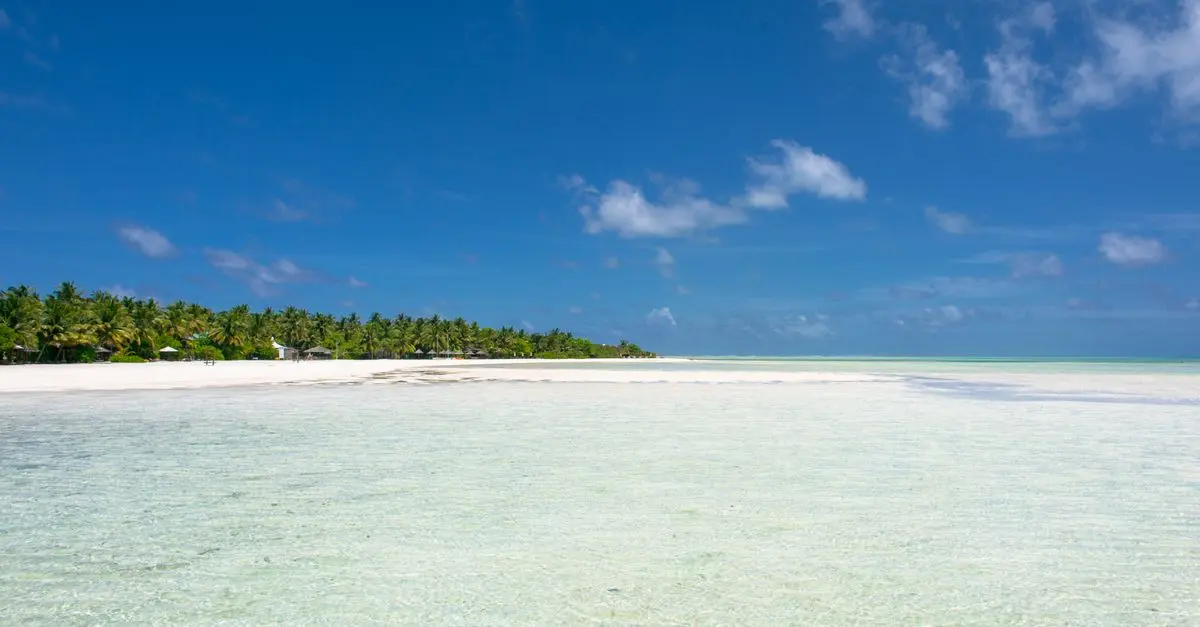Les meilleures îles à visiter en plein cœur de l'exotisme