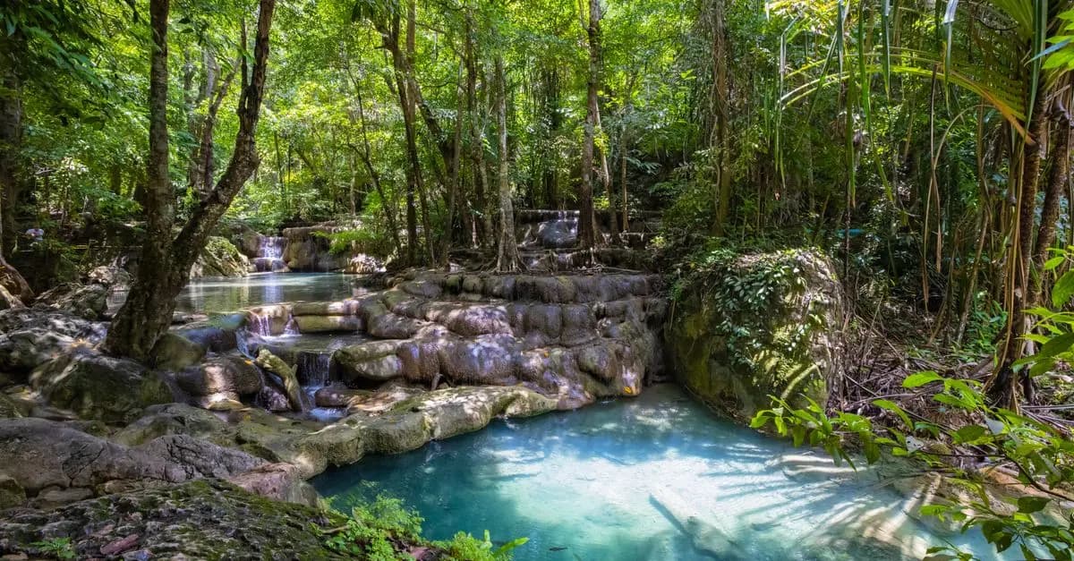 Forêts tropicales du Costa Rica : Conseils de visite