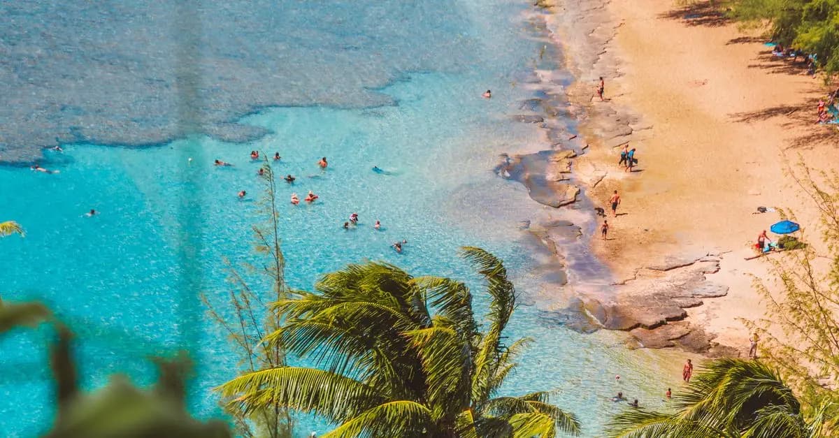 Les meilleures périodes pour visiter les destinations exotiques