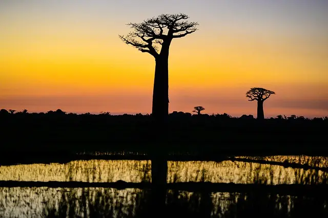 Top 10 des endroits incontournables à Madagascar