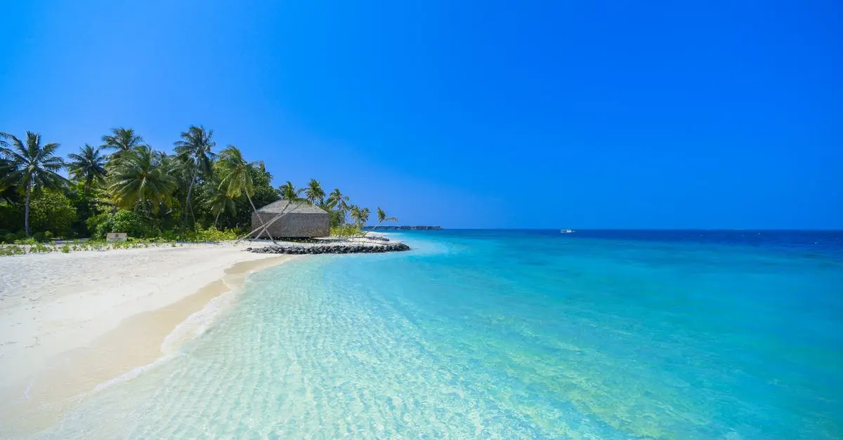 Les Meilleures Activités à Faire à Maldives pour un Séjour Inoubliable