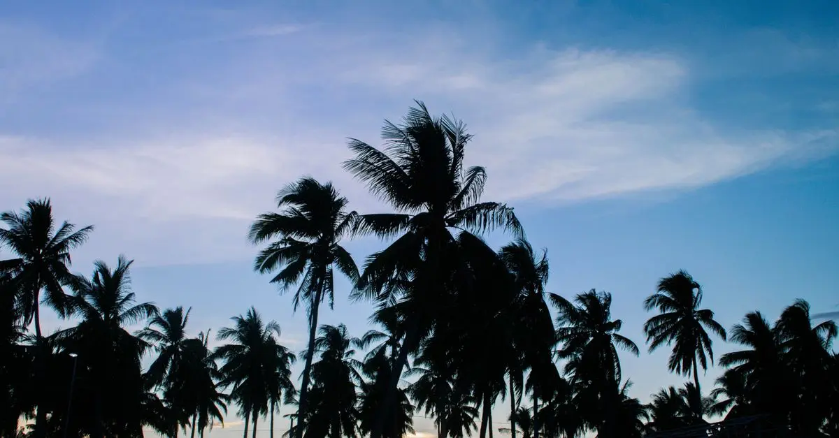 Les 10 meilleures destinations exotiques à visiter