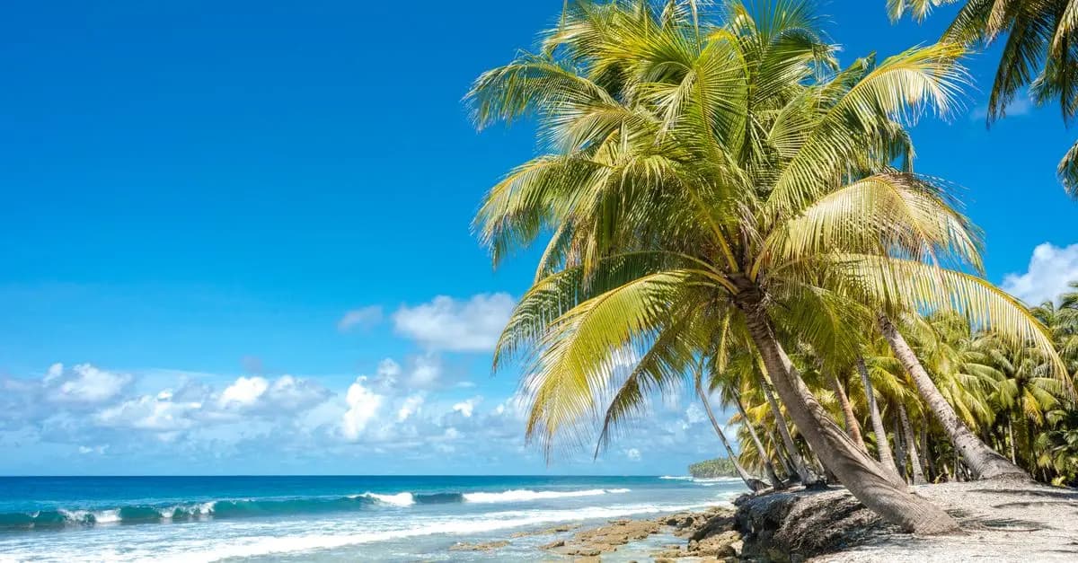 Comment choisir votre île parfaite pour des vacances exotiques