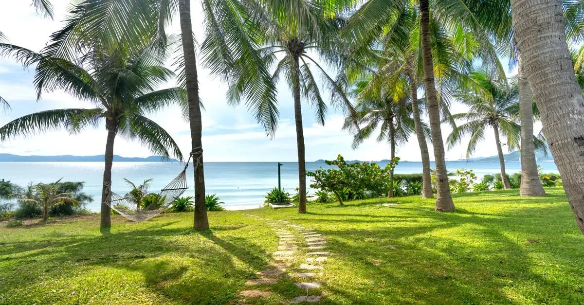Plongée sous-marine aux Philippines : Sites incontournables