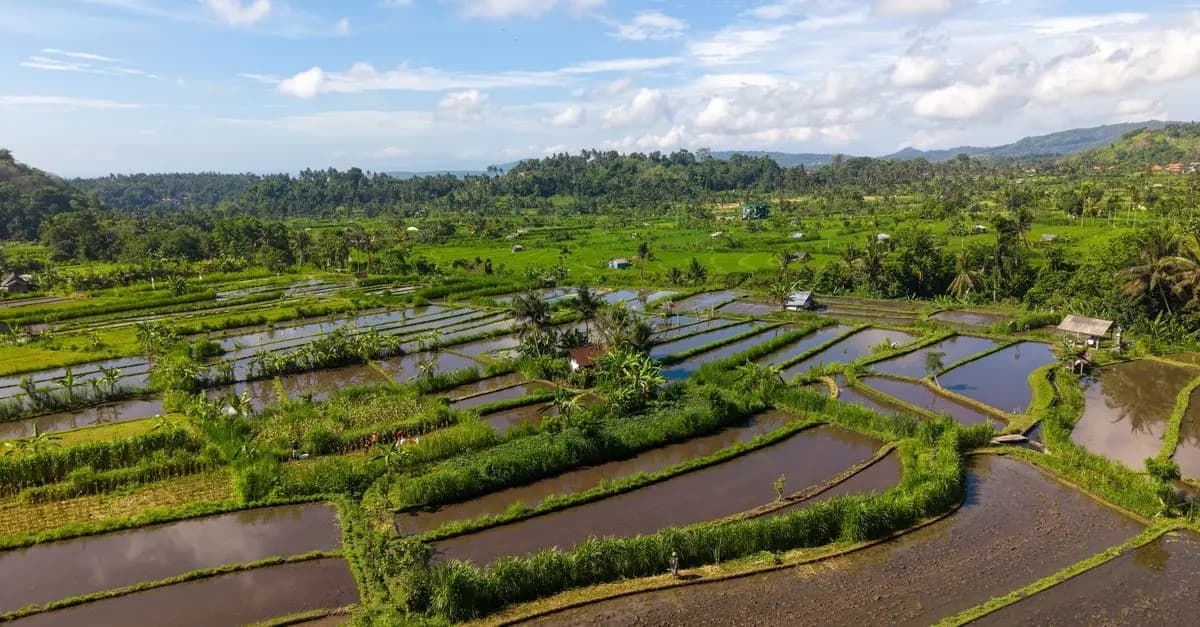 Bali vs Phuket : Quelle île choisir pour vos vacances ?