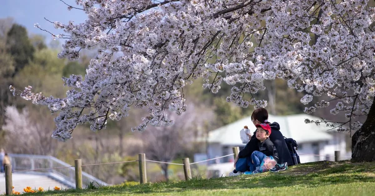Voyager en famille au Japon : Ce qu'il faut savoir