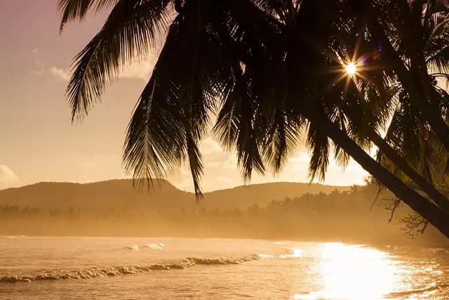 Les meilleures îles à visiter pour des vacances exotiques