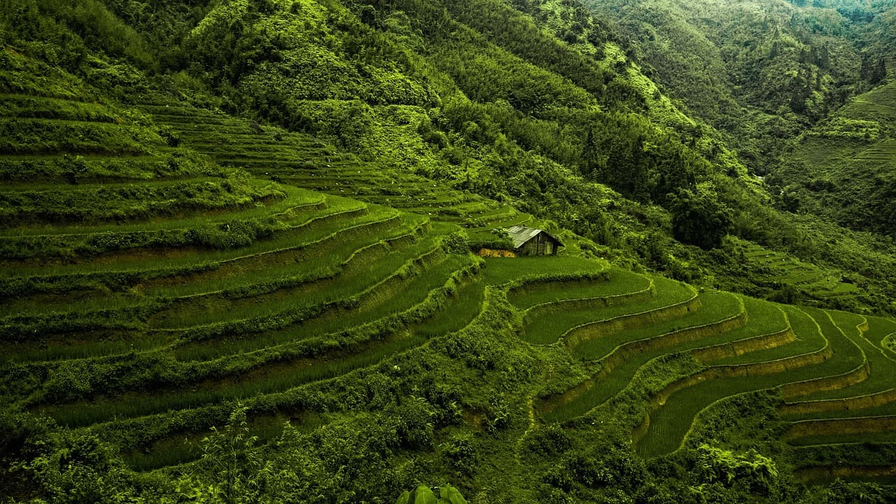 Les incontournables à visiter à Bali pour des vacances parfaites